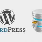 WordPress transients, opciones que expiran en el tiempo