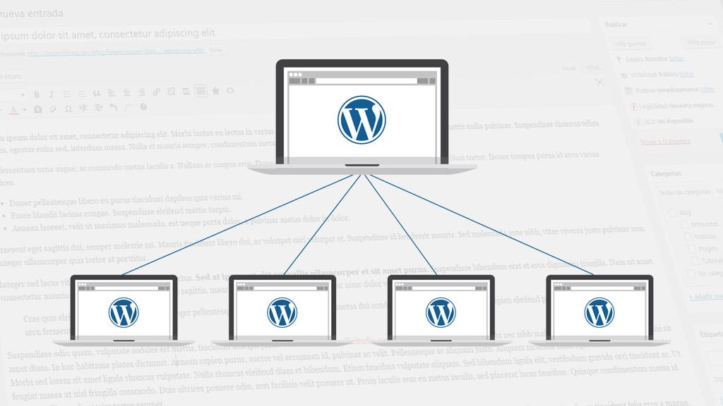 multisite WordPress